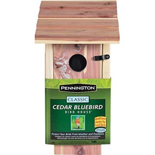 Cedar Bluebird Wooden Wild Bird House, 1 unit By Pennington - Walmart