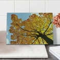 thumbnail image 2 of Leaves Cutting Board, Autumn Maple Tree from Bottom to Top View Environment Flora Season November Print, Decorative Tempered Glass Cutting and Serving Board, Small Size, Orange Blue, by Ambesonne, 2 of 5