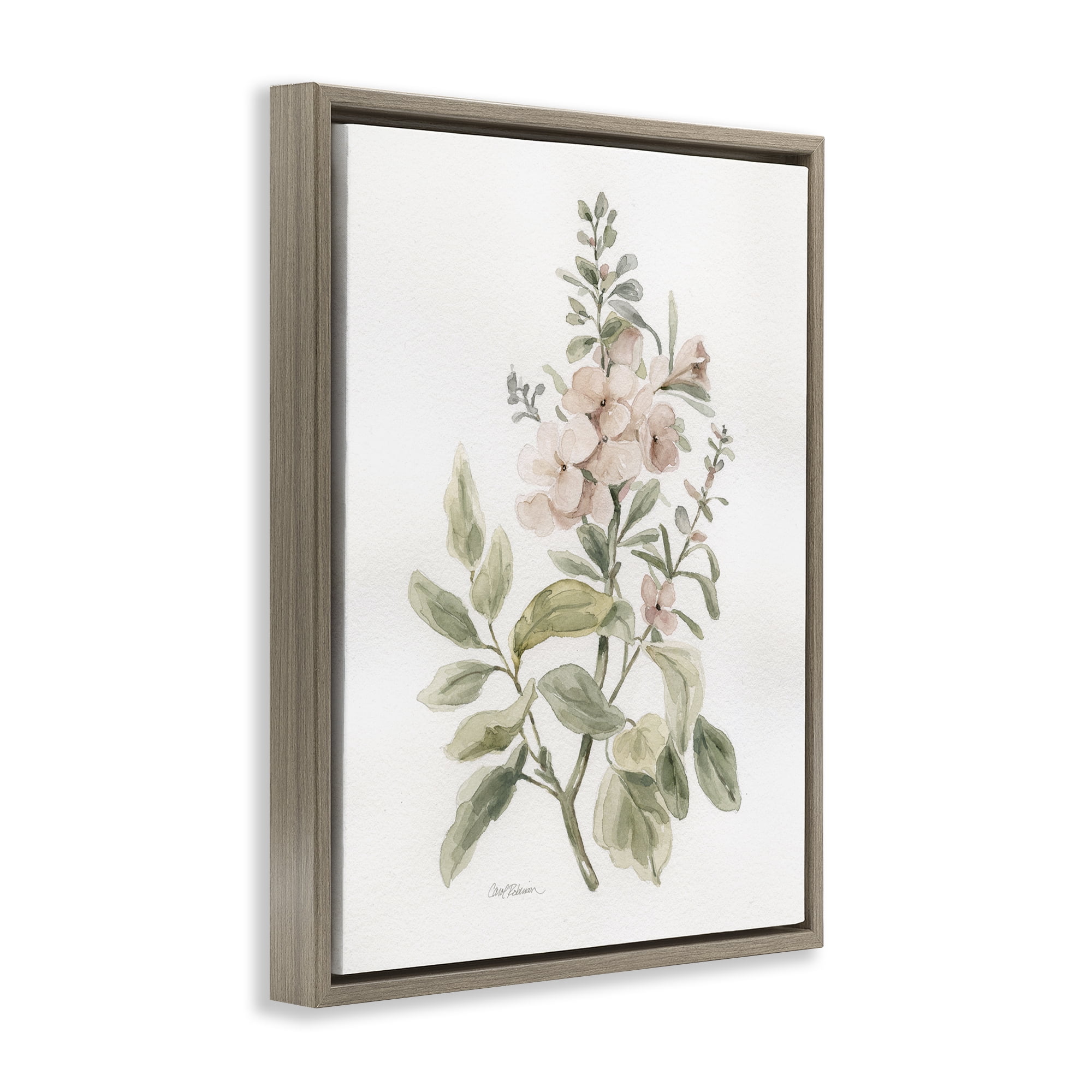 Stupell Industries Dainty Blooming Botanical Plants & Flowers Painting Brown Floater Framed Canvas Art Print Wall Art, 17 x 21
