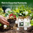 thumbnail image 3 of VIVOSUN Liquid Nutrients Base A & B Bundle, Grow Big Hydroponic Fertilizer, Supports Vegetative and Flowering Stages for Outdoor, Indoor Plants, Best Plant Food, Set of Quarts, 3 of 8