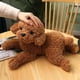 thumbnail image 2 of Soft Realistic Teddy Dog Plush Toy Funny Simulation Stuffed Little Puppy Dolls Lovely Birthday Gift for Baby Kids Girls, 2 of 5
