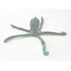 thumbnail image 3 of Paquete de 3 juguetes chirriantes de felpa para perros y cachorros, juguetes interactivos duraderos con chirrido para perros de raza, pulpo, juguetes para perros de peluche-1 Hy, 3 of 4