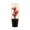 Orange 10cm, variant on Zeiwohndc Crystal Rose Gear Knob Elegant Change Lever Fashionable Car Gear Head for Auto