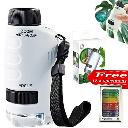 Miniscope Kids Miniscope Kids Portable Microscope 60x120 Minilabsters Miniscope Kids Pocket Microscope for Kids