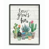 Stupell Industries Love Grows Here Cactus Succulents WatercolorFramed Wall Art by Jo Moulton