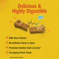 thumbnail image 3 of Nylabone Nubz Chicken Dog Treats, All Natural Edible Long Lasting Dry Dog Chew, 10 Ct, 3 of 10