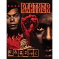 thumbnail image 1 of Panther [BLU-RAY], 1 of 1