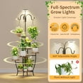thumbnail image 3 of Stand Indoor with Grow Light - 72" Tall  Shelf Indoor, 5 Tiered Corner  Stands for Indoor ,   Holder Flower Display Holders for  Room, Balcony Decor, 3 of 9