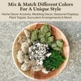 thumbnail image 5 of Quality Growers - The Moss Collection Variety Pack - Natural Decorative Moss - Crafts, Home Decor, Art, Design & DIY Projects - Non-Toxic - Made in USA - Original, Small, 2-Pack, 5 of 7