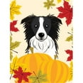 thumbnail image 1 of Border Collie Thanksgiving Flag Garden, 1 of 1