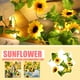 thumbnail image 1 of Xihbxyly Guirnalda de Luces Led de Girasol, Diseño Floral Decorativo, Luz Amarilla Cálida, 2 M de Largo, Funciona con Pilas, Decoración Navideña, Regalo para El Día de La Madre, Protección Ip43 Contr, 1 of 7