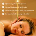thumbnail image 1 of Vela De Oído Adelgazante 10 unidades/juego de ingredientes para velas reductoras de grasa, mejora la seguridad del cuerpo para el cuidado de la belleza Ndcxsfigh Cuidado Belleza, 1 of 9