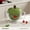 Green, variant on Apple Shaped Salad Spinner,  Free Manual Vegetable Dryer, Detachable Colander Basket for Kitchen Fruit & Veggie Washing Draining