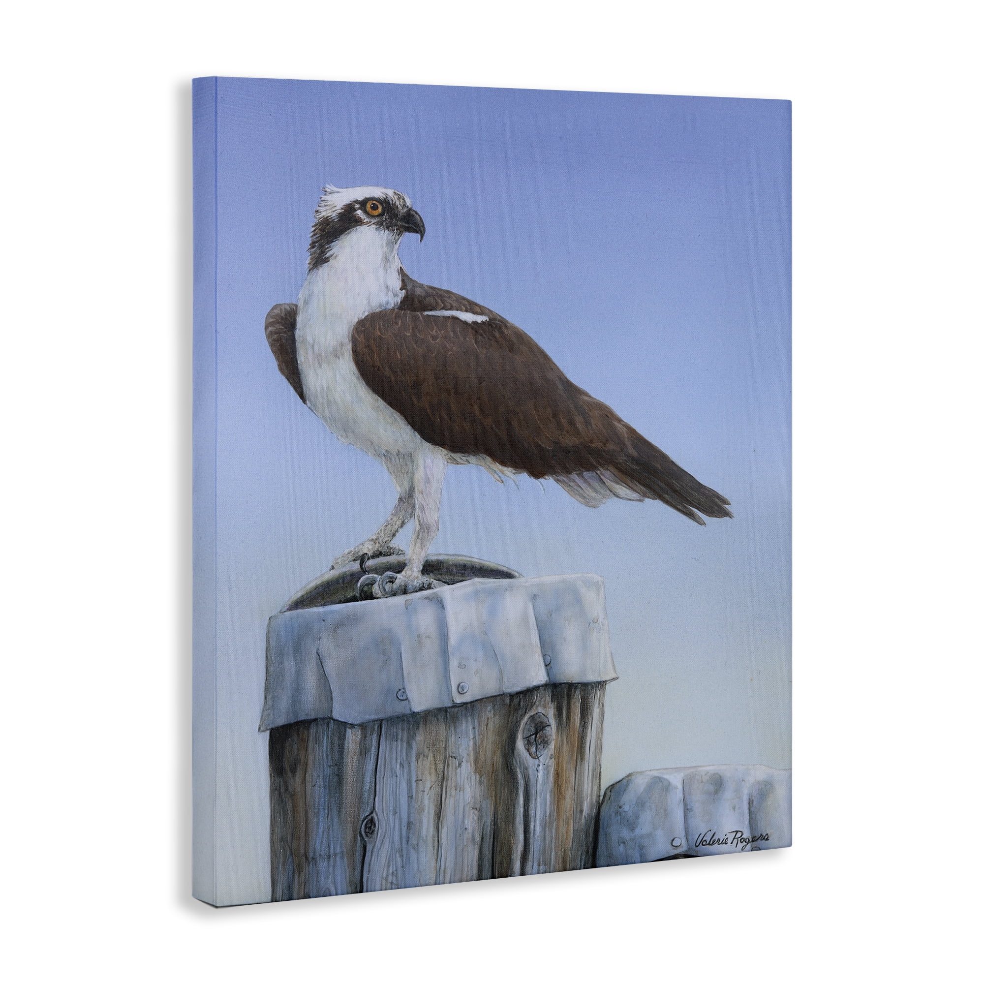Stupell Industries Harbor Master Bird Perched Animals Painting Wrapped Canvas Art Print Wall Art, 16 x 20