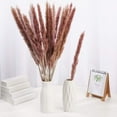 thumbnail image 2 of 15pcs Dried Flowers 17 inch Natural Dried Pampas Grass Reed Plant with Box Real Flowers Romantic Wedding Flower Bulrush Bouquets Flavorful Durable for DIY Home Decor Matching Photography (Pink), 2 of 14