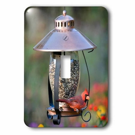 3dRose Northern Cardinal on copper lantern hopper bird feeder, Marion Co. IL, Single Toggle Switch
