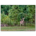 thumbnail image 1 of Picture-Tiles.com: Deer Ceramic Tile Wall Mural WAL500458-43L. 32"W x 24"H using (12) 8" x 8" Ceramic Tiles-Satin Finish, 1 of 3