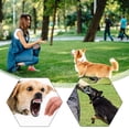 thumbnail image 3 of Daily Mix Store Anti Barking Device Dog Ultrasonic Dog Trainer with 3 Sensitivity Levels and 50-Foot Range for Small Medium Large Dogs Indoor Outdoor Use, 3 of 9