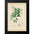 thumbnail image 2 of Vision Studio 17x24 Black Modern Framed Museum Art Print Titled - Tropical Botanique VII, 2 of 5