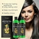 thumbnail image 4 of Natural Black Hair Dye Kit, Fruit Vinegar Formula for Gray Coverage and Shine Restoration, 4 of 5