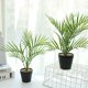 thumbnail image 2 of Wosthever Planta falsa Artificial bonsái árbol decoración paisaje ornamento boda fiesta diseño para el hogar sala de estar Oficina Plantas Artificiales, 2 of 6
