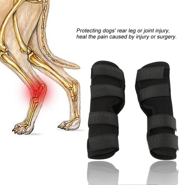Dog foot bandage shop protector