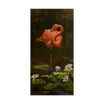 Trademark Fine Art 'Pirhouette' Canvas Art by Michael Jackson