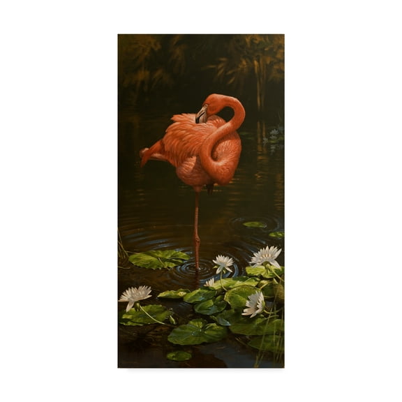 Trademark Fine Art 'Pirhouette' Canvas Art by Michael Jackson