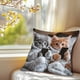 thumbnail image 5 of Juego de Cojines con Estampado de Animales Adorables, 45X45 Cm, Multicolor, de Material Aterciopelado | Decoración para Sofá o Sala de Estar | Decoración para Acción de Gracias y Otoño | Uso Interior, 5 of 6