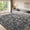 Dark Gray, variant on Lanbertent 5ft x 8ft Shag Area Rug, Soft Fluffy Area Rugs for Living Room Bedroom Plush Pile Modern Tie-dye Carpets, Dark Gray