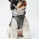 thumbnail image 3 of Impermeable ligero y transpirable Methold para perros gris SG, 3 of 6