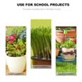 thumbnail image 3 of STRANDCHIC planter pot Flower Pot Plastic Drainage for Children's Activities 1Set, 3 of 8