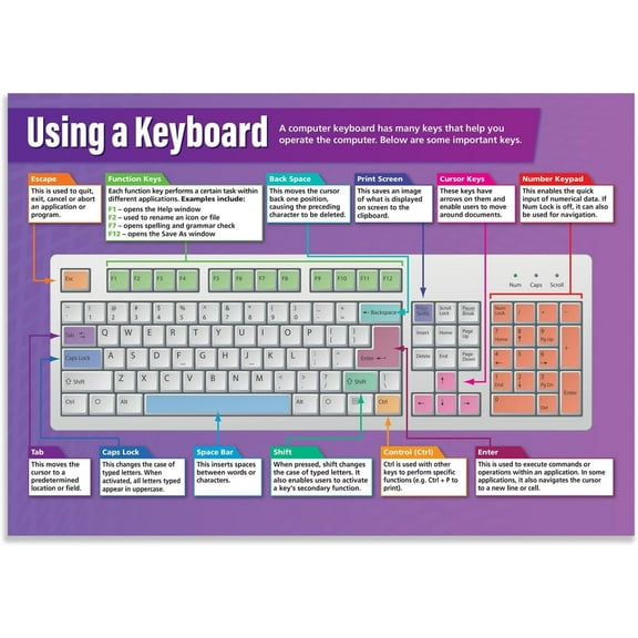 Using a Keyboard Classroom Poster  Technology and Computing Class Decoration