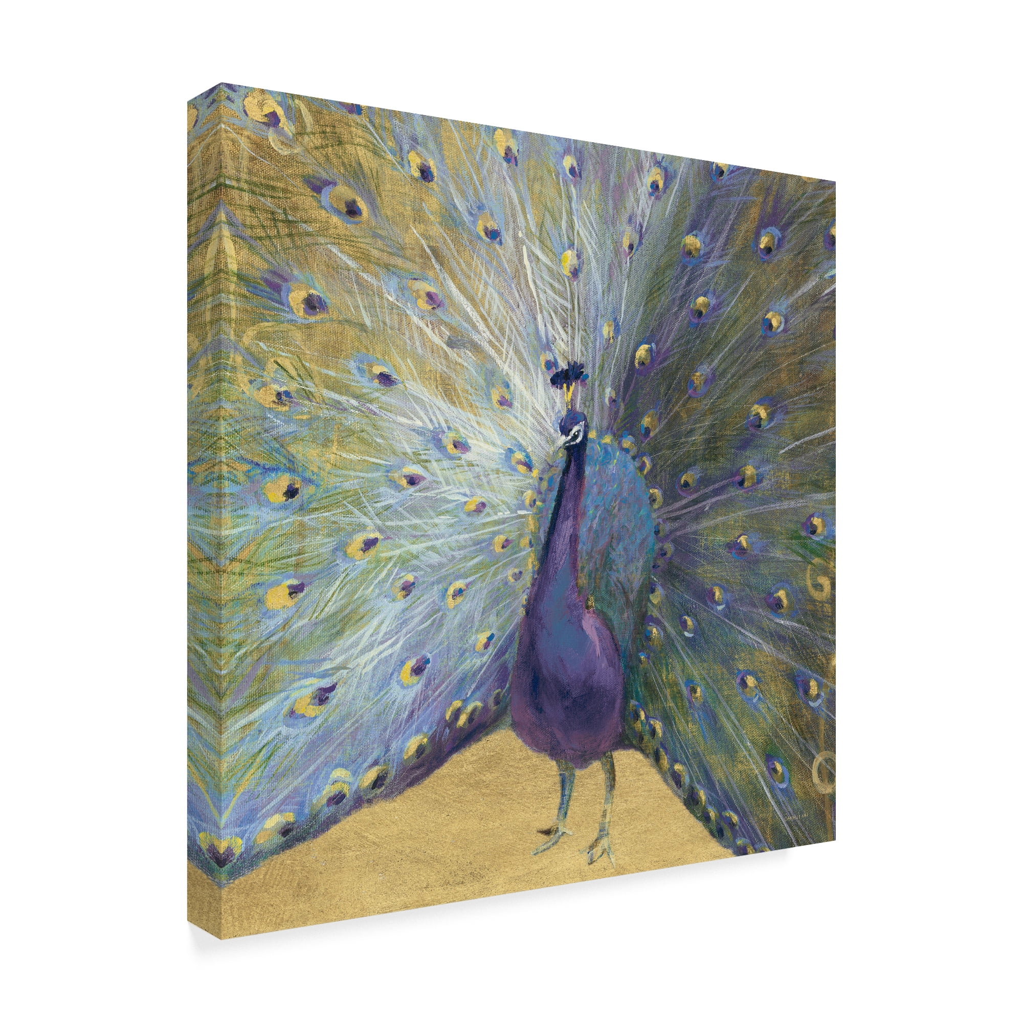Trademark Fine Art 'Purple and Gold Peacock' Canvas Art by Danhui Nai