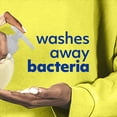 thumbnail image 3 of Softsoap Antibacterial Hand Soap, Kitchen Fresh Hands - 11.25 fluid ounce (6 Pack), 3 of 10