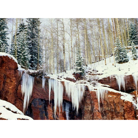 Frozen waterfall in winter San Juan Mountains Colorado Poster Print by Tim