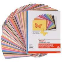 Staples Construction Paper 9" x 12" Assorted Colors 200 Sh./PK (MMK01200S) 23104