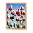 thumbnail image 4 of ArtToFrames 19" x 20" Red Oak Wood Picture Frame, 19x20 inch Brown Wood Poster Frame (WOM-4878), 4 of 7