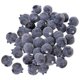 thumbnail image 5 of FESTFENDS 60Ud De Blueberry Falsos En Espuma Para De Y, 5 of 8