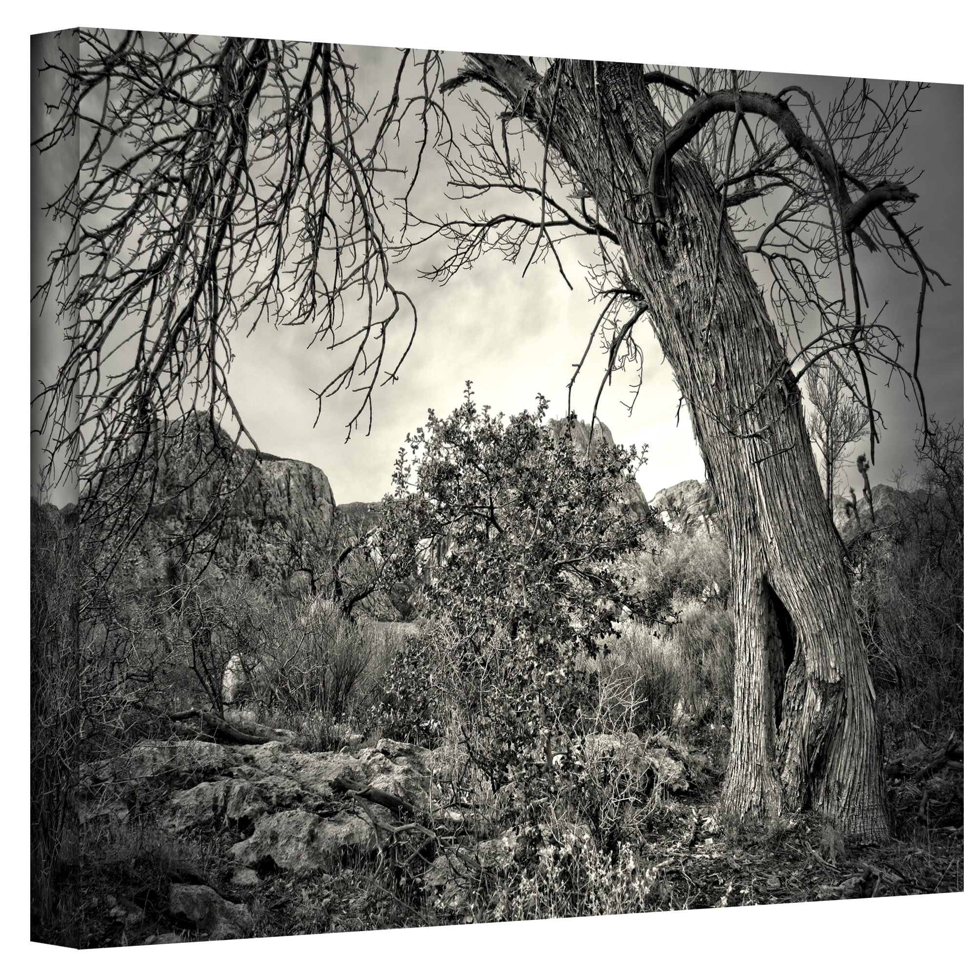 Mark Ross "Listen To Whispers" Wrapped Canvas Art
