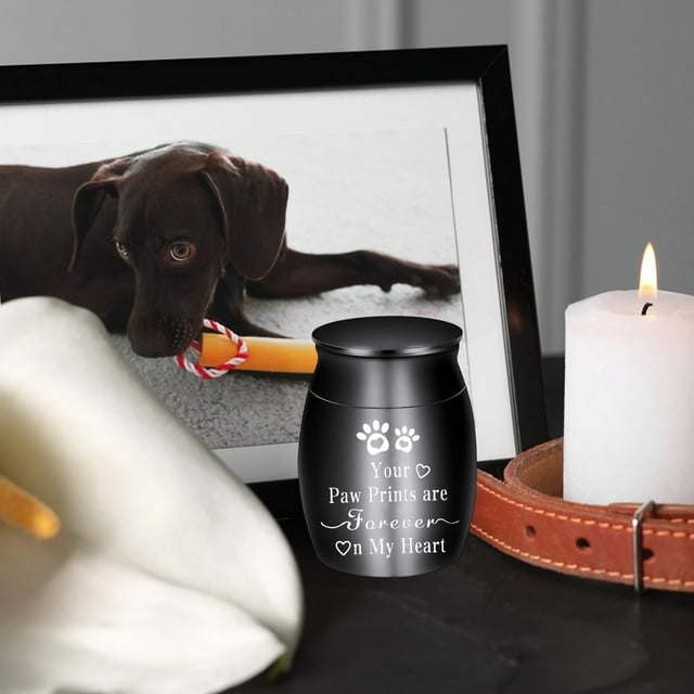 Cameland Pot Commémoratif pour Animaux de Compagnie, Produits Funéraires pour Chats et Chiens, Urne en Alliage Scellée