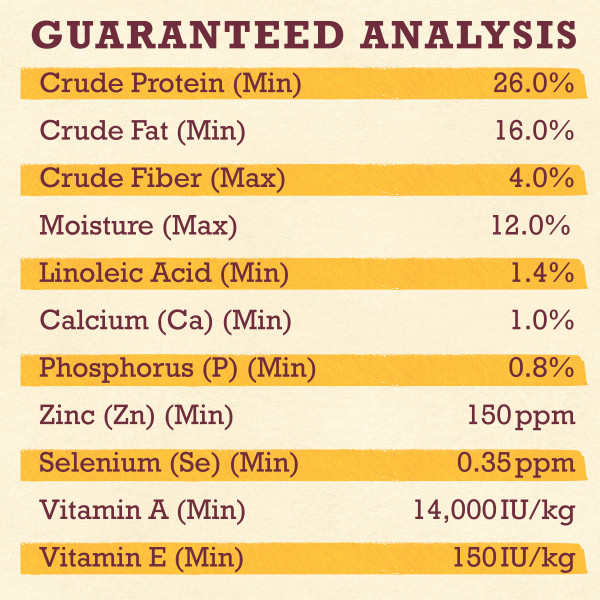 purina beyond superfood salmon