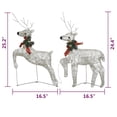 thumbnail image 5 of Edy Outdoor Christmas Decoration Set of 2, 40 Gold LEDs White, 5 of 5