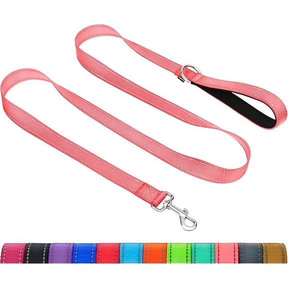 Eryueer Dog Leash for Small Dogs, Double-Sided Reflective Leash with Soft Neoprene Padded Handle, 3/4 inch by 5 ft, Fit Small Medium Large Breeds Under 20 lbs, Pink