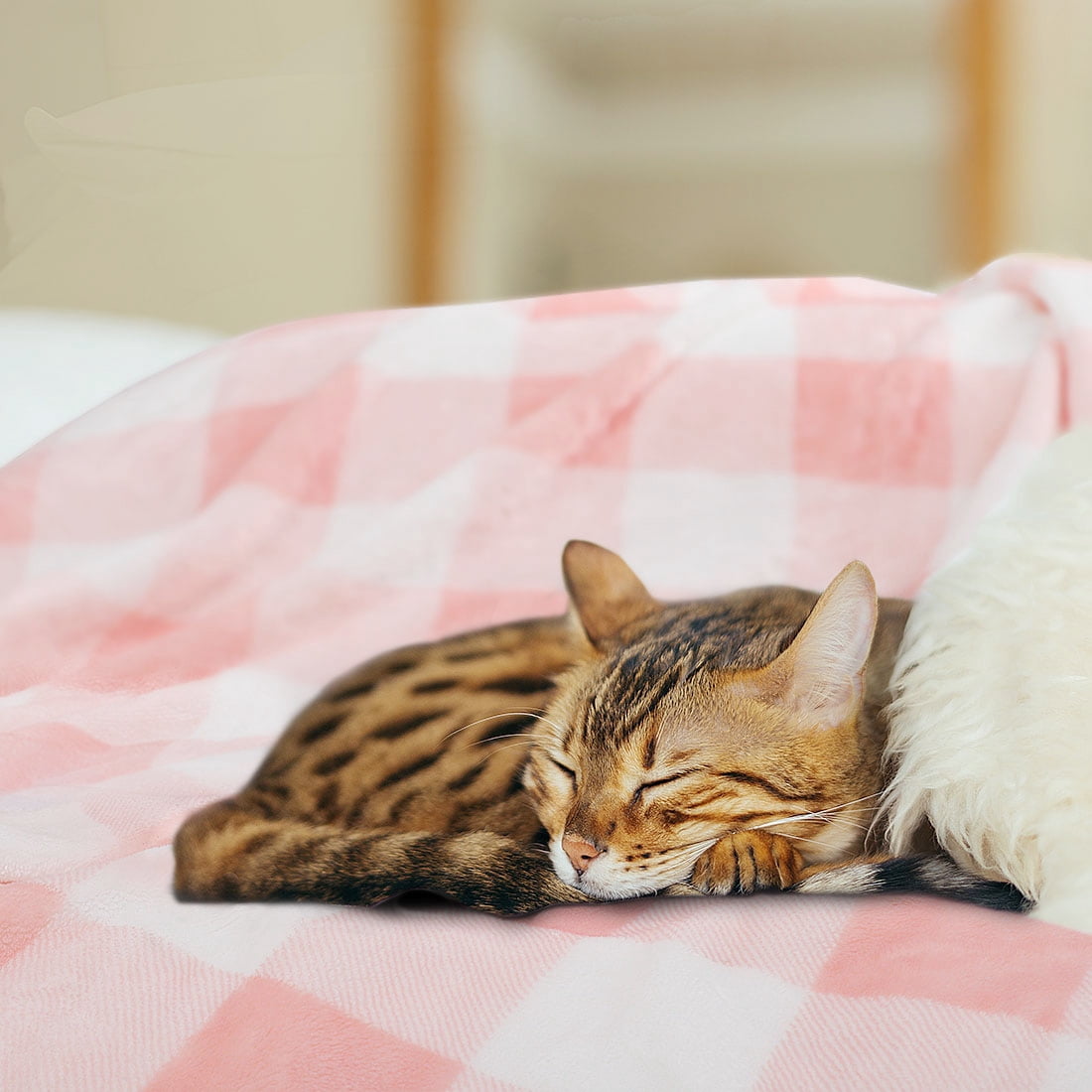 Plaid Soft Plush Fleece Blanket for Sofa Couch Bed, 30" x 40", Pink and White