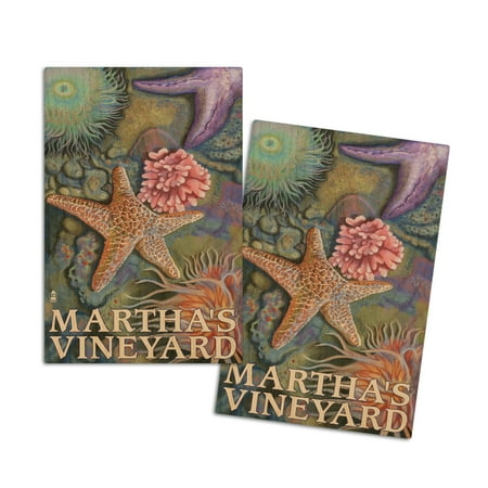 

Martha s Vineyard Tidepools (4x6 Birch Wood Postcards 2-Pack Stationary Rustic Home Wall Decor)