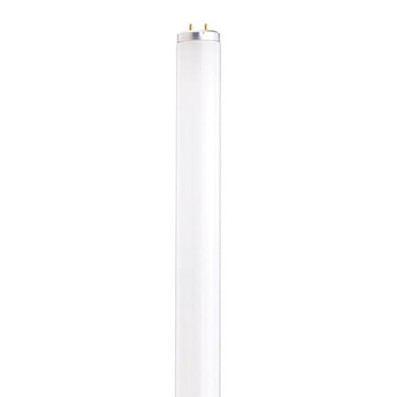 Sylvania 23487 - T12 Fluorescent Tube Light Bulb, 30W, 36 Inch Tube 4200k Cool White 2200 Lumens