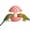 Pink, variant on Cute Mushroom Ceramic Bird Water Dispenser & Seed Bowl, Premium Glazed Anti-Dust Feeding Dish for Small Parrots, Conures, Hamsters, Heavy Duty Cage Accessory