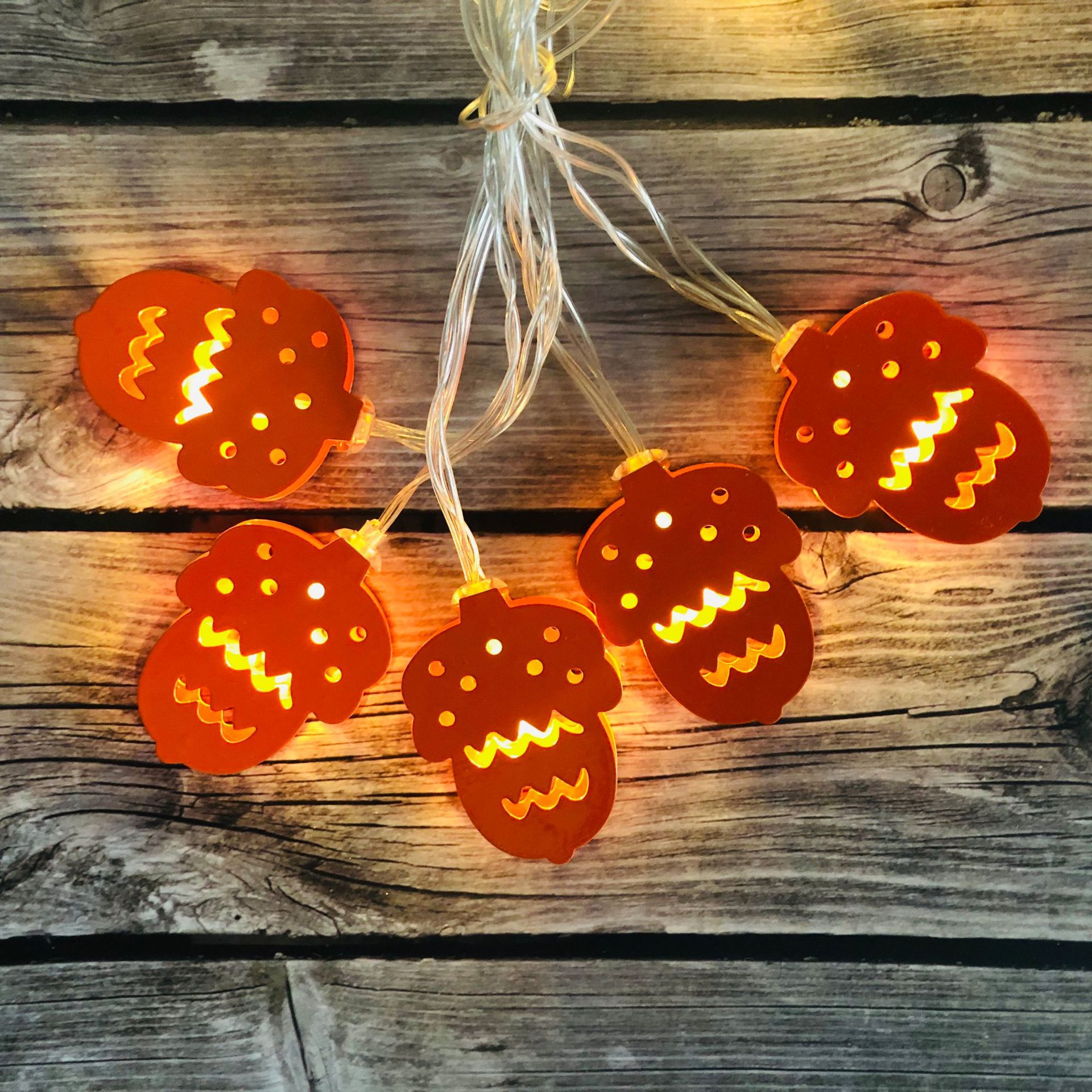 Christmas Thanksgiving String Lights 5.4FT 10LEDs Battery Operated