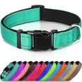 thumbnail image 1 of Joytale Collar Reflectante para Perros, Collar para Mascotas De Nailon Transpirable Acolchado De Neopreno Suave, Ajustable para Perros Grandes,Verde Azulado,L, 1 of 5